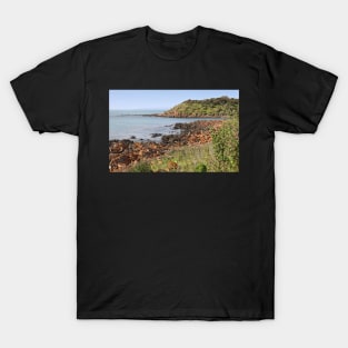 Foreshore at Penneshaw T-Shirt
